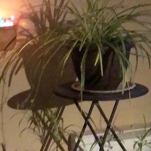 Meet your Posher, Wendy